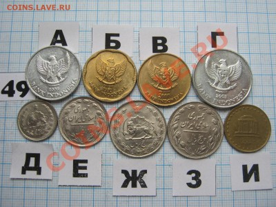 ЭКЗОТИКА-2. МНОГО ВСЯКОЙ РАЗНОЙ!!! ПОСТОЯННОЕ ПОПОЛНЕНИЕ!!! - 49-2.JPG