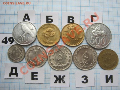 ЭКЗОТИКА-2. МНОГО ВСЯКОЙ РАЗНОЙ!!! ПОСТОЯННОЕ ПОПОЛНЕНИЕ!!! - 49-1.JPG