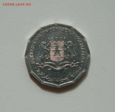 Сомали 10 центов 1976 г. (Фауна) с рубля! до 16.03.20 - DSCN9988.JPG