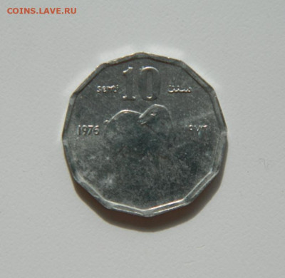 Сомали 10 центов 1976 г. (Фауна) с рубля! до 16.03.20 - DSCN9989.JPG