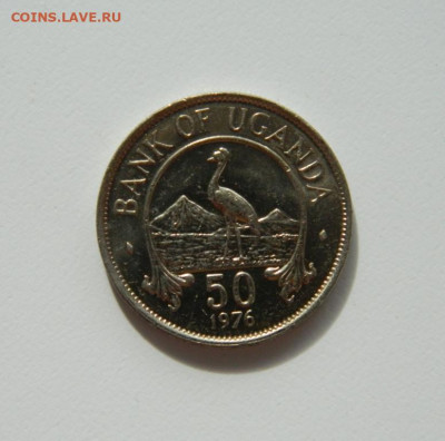 Уганда 50 центов 1976 г. (Фауна) с рубля! до 16.03.20 - DSCN9969.JPG