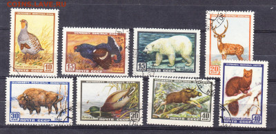 ССР 1957 фауна по фиксу до 18 03 - 440а