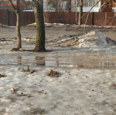 перекличка городов по температуре - DSCN6089.JPG