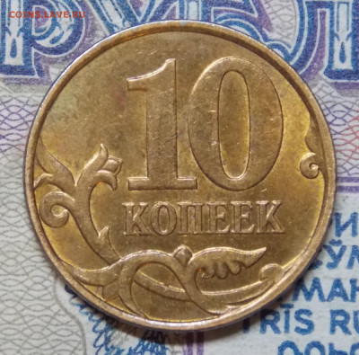  - 441.JPG