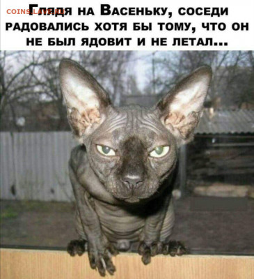 юмор - i