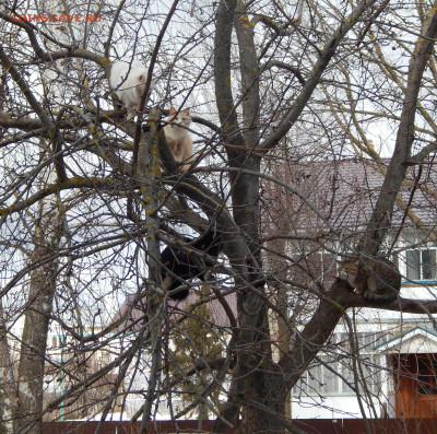 +4*-маловетренно!)) - DSCN6094.JPG