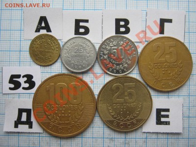 ЭКЗОТИКА-2. МНОГО ВСЯКОЙ РАЗНОЙ!!! ПОСТОЯННОЕ ПОПОЛНЕНИЕ!!! - 53-1.JPG