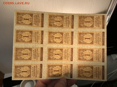 1,2,5,10,25,50 рублей 1922 года в блоках до 19.03 в 22:00 - F6695E66-C971-41D2-BCB2-0814719F36A5