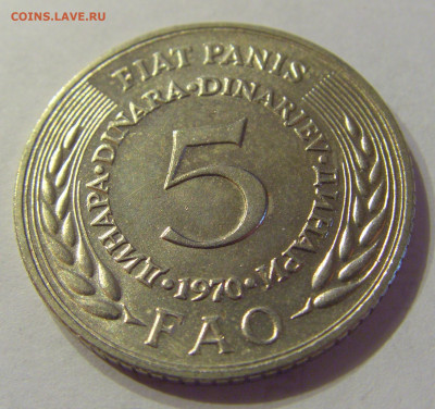 5 динар 1970 ФАО Югославия №2 21.03.2020 22:00 МСК - CIMG0885.JPG