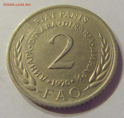 2 динара 1970 ФАО Югославия №2 21.03.2020 22:00 МСК - CIMG0901.JPG