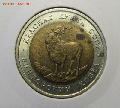 Красная книга 1991г. Козел до 19-03-20 - IMG_4719.JPG