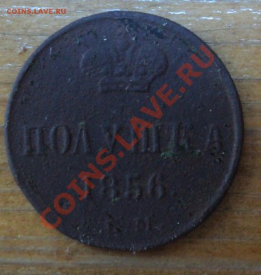 полушка - DSC00728.JPG