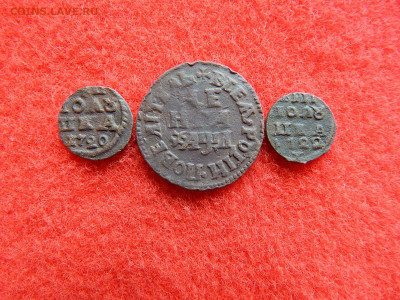 Петр-1 деньга 1704 год и 2 полушки ВРП. - рррррррр 005.JPG