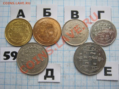 ЭКЗОТИКА-2. МНОГО ВСЯКОЙ РАЗНОЙ!!! ПОСТОЯННОЕ ПОПОЛНЕНИЕ!!! - 59-2.JPG