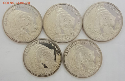 5 ШТУК Казахстан Манул с 200р до 18.03.2020 в 22.00 - манул