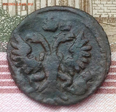 Полушка 1731 перечекан с крестовой. - Полушка 1731 перечекан (5).JPG