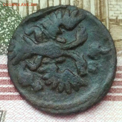 Полушка 1731 перечекан с крестовой. - Полушка 1731 перечекан (6).JPG