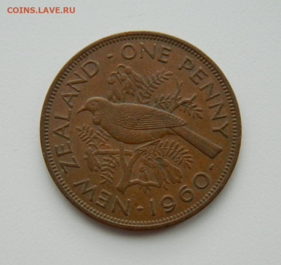Новая Зеландия 1 пенни 1960 г. (Фауна) до 23.03.20 - DSCN9906.JPG