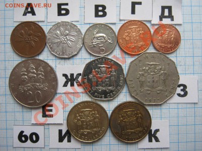 ЭКЗОТИКА-2. МНОГО ВСЯКОЙ РАЗНОЙ!!! ПОСТОЯННОЕ ПОПОЛНЕНИЕ!!! - 60-1.JPG