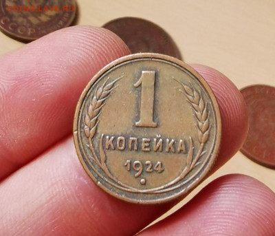 Рубчатый гурт - IMG_20200317_130621