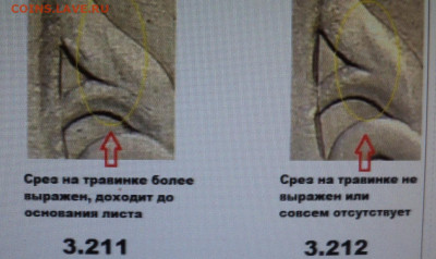 РАЗНОВИДНОСТИ  от  СЛФ - DSC04135.JPG