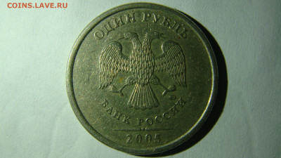 Вопросы по разновиднстям от сахарок - DSC09892.JPG