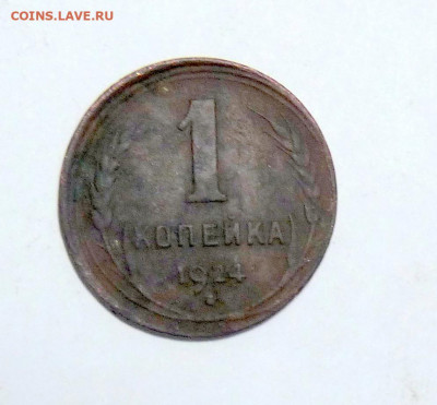 грибок 1 коп 1924 - P1120163.JPG