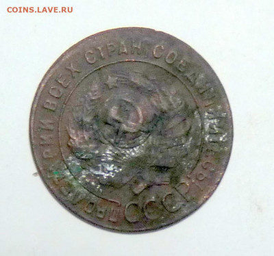 грибок 1 коп 1924 - P1120164.JPG