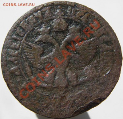 Деньга 1700 (определение и оценка) - IMGP6220.JPG