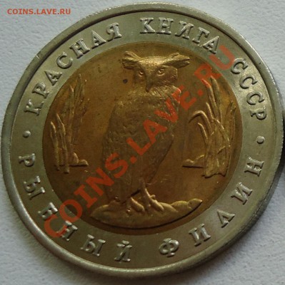 Красная Книга, 5 рублей, Рыбный филин 1991, 30.08.11 22-00 - DSC01109.JPG