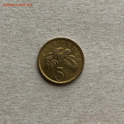 Сингапур 5 центов,до 22.03. - Rh-y2E95YPQ
