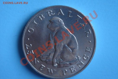 Гибралтар 25 пенсов (обезьяна) - DSC09405.JPG
