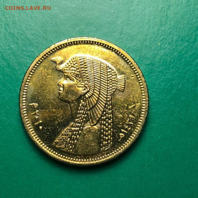 Египет 50 пиастров,до 22.03. - MJ_Khfv1pp0