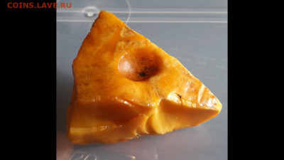 N-CoV(CoronaVirus) КоронаВирус.Последние новости - Screenshot_20200320-225208_Gallery