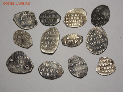 12 чешуек, серебро. - DSCN0005.JPG