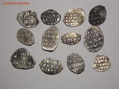 12 чешуек, серебро. - DSCN0004.JPG
