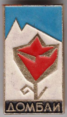 Знак ДОМБАИ до 27.03.20 г. в 23.00 - 026