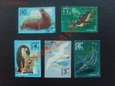 15 руб. - S5000002_thumb