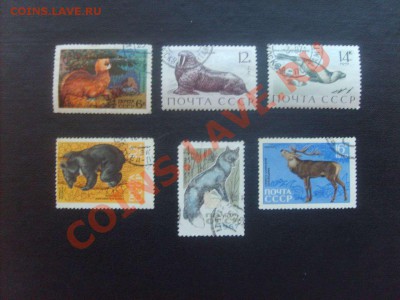 15 руб. - S5000003_thumb