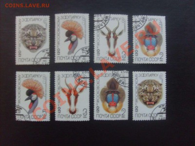 10 руб. - S5000005_thumb