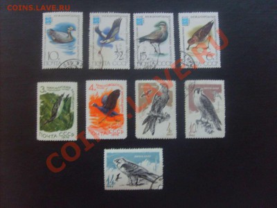 20 руб. - S5000006_thumb