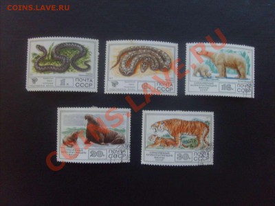 15 руб. - S5000007_thumb