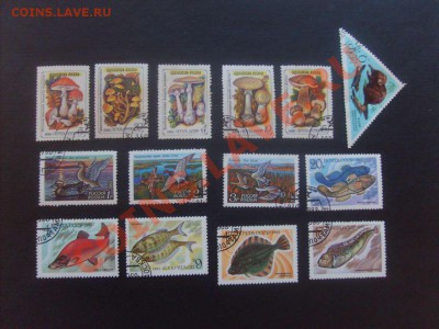 20 руб. - S5000008_thumb