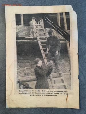 Агитационная листовка Германии (работа). До 22:00 27.03.20 - ECE33F72-355A-4763-8389-7DCBAEE86881