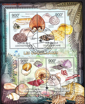 ЦАР 2012 раковины до 27 03 - 40