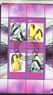 Конго 2009 пингвины 4м до 27 03 - 84