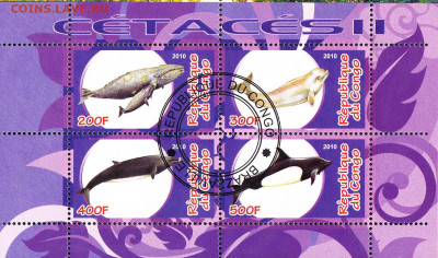 Конго 2010 морская фауна 4м до 27 09 - 89