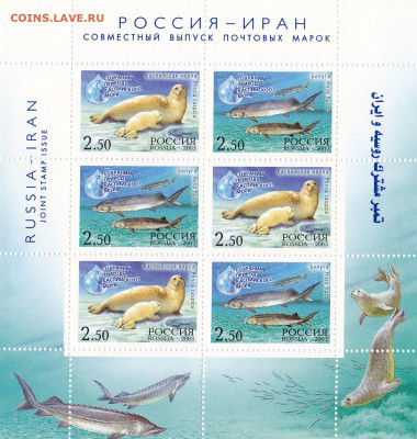 РОССИЯ-ИРАН.ПРИРОДА КАСПИЙСКОГО МОРЯ. - IMG_0019