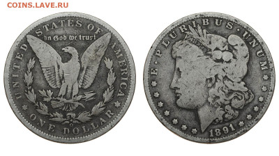 США. 1 доллар 1891 г. Морган. До 28.03.20. - DSH_7782.JPG