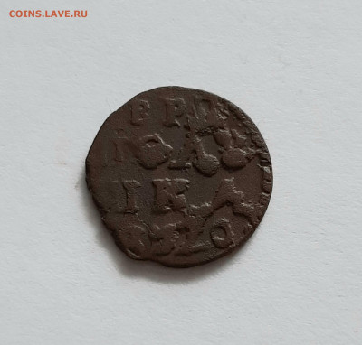 Полушка 1719, 1720 годов. До 26.03. в 22-10 МСК. - 20200322_110224